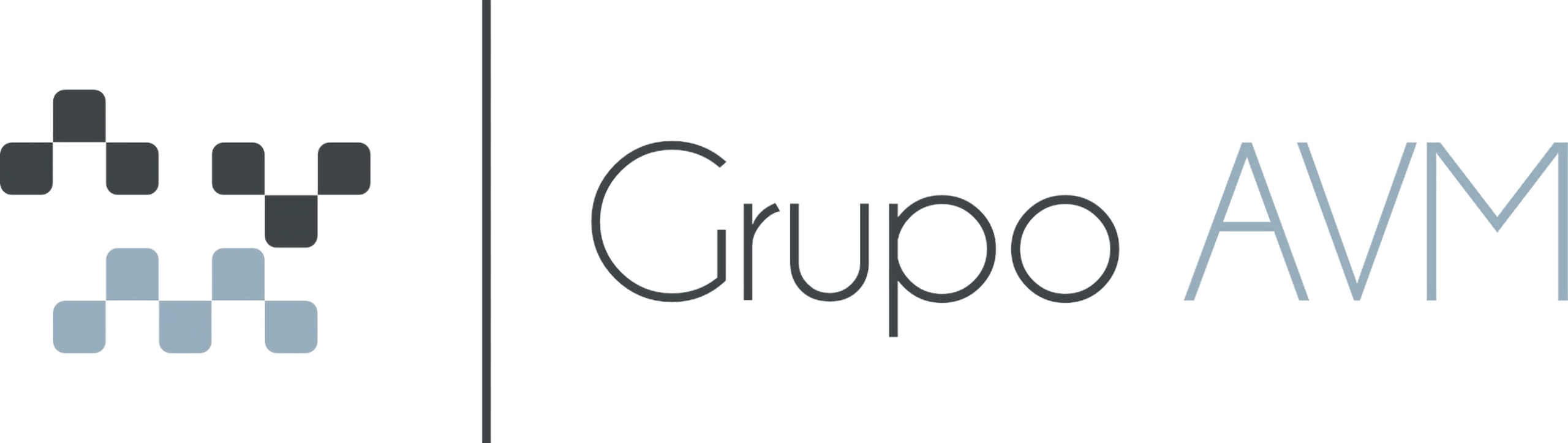 Grupo_AVM-transformed (2)